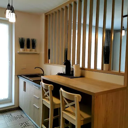 Apartment Modern Coresi *